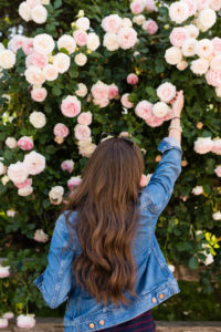 Napa Valley, San Francisco, Denim Jacket Hello It's LOH