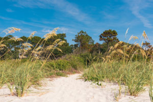 Hello It's LOH, Lejla Hasanovic swimsuit, tybee island