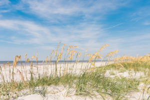 Hello It's LOH, Lejla Hasanovic swimsuit, tybee island
