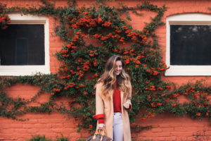 Richmond VA, VMFA, Fan District, Hello It's LOH, Lejla Hasanovic, winter style, fall style, casual style, rag and bone jeans, louis vuitton speedy, converse, topshop coat, cashmere sweater, holiday style