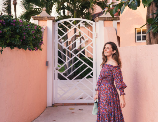 Hello It's LOH, Rebecca Taylor Off The Shoulder Dress, Palm Beach, Simon Miller Handbag, Lejla Hasanovic