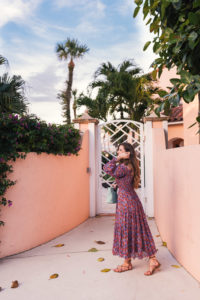Hello It's LOH, Rebecca Taylor Off The Shoulder Dress, Palm Beach, Simon Miller Handbag, Lejla Hasanovic