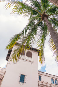 Hello It's LOH, Palm Beach, The Colony Palm Beach, MDS Stripes Skirt, Caroline Constas
